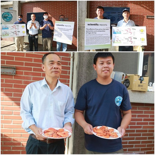 海水酸化讓草蝦營養美味打折！　中山大學研究登國際頂尖期刊